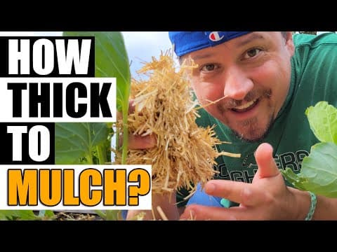 Mulch Thickness Explained