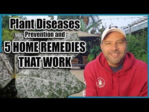 Plant Diseases — Prevention and 5 Home Remedies
