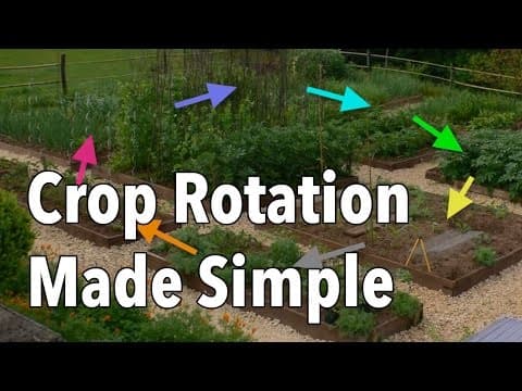 Crop Rotation Made Simple