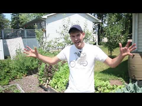 Deep Watering — How to do it & Why it Matters