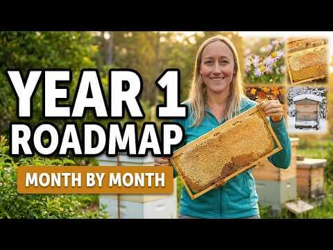 Beekeeping Year 1 Roadmap: Month-by-Month