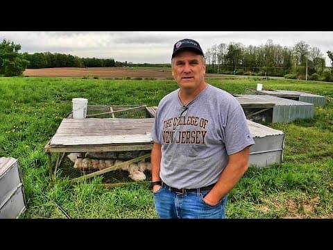 10 Years' Experience Raising Broiler Chickens on Pasture