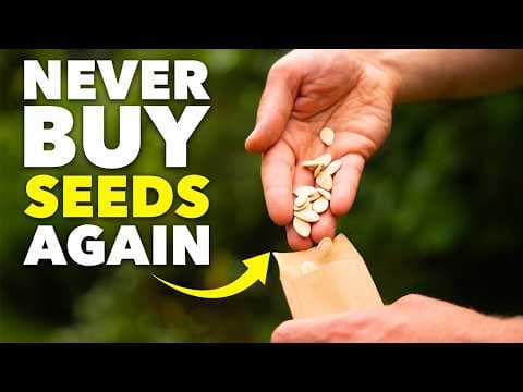 Seed-Saving Masterclass