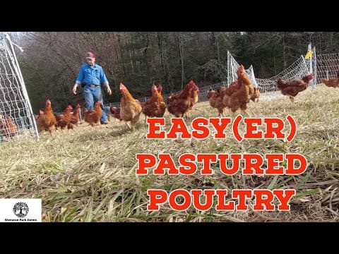Raising Pastured Poultry WITHOUT Daily Moves?